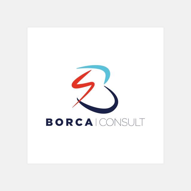 BORCA Consult – logo